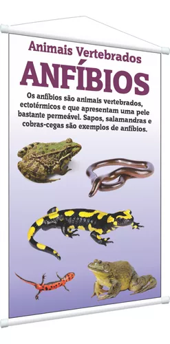 Defina Seu Cardápio da Semana
